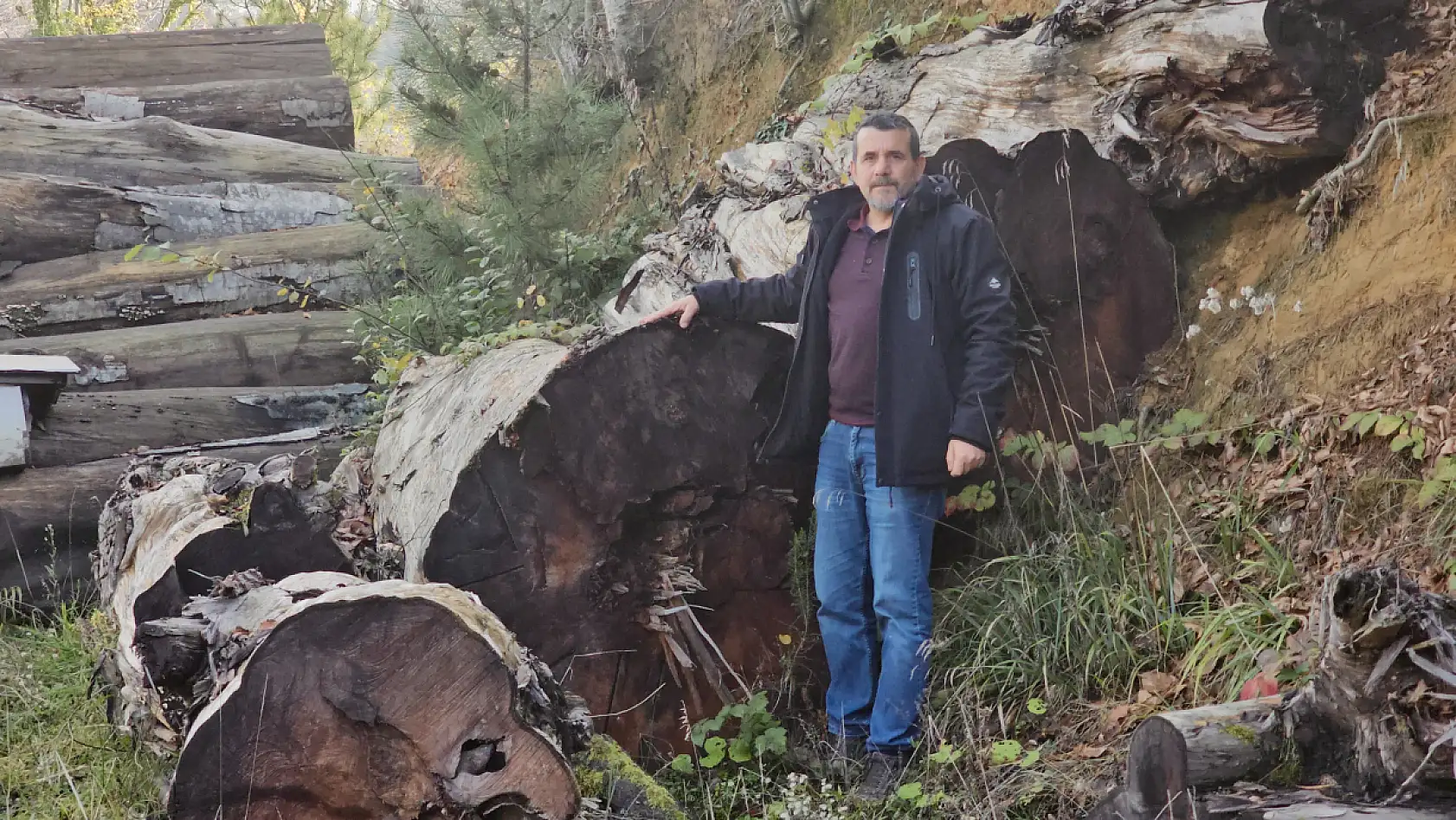 Kesildi satıldı ama yok olmadı