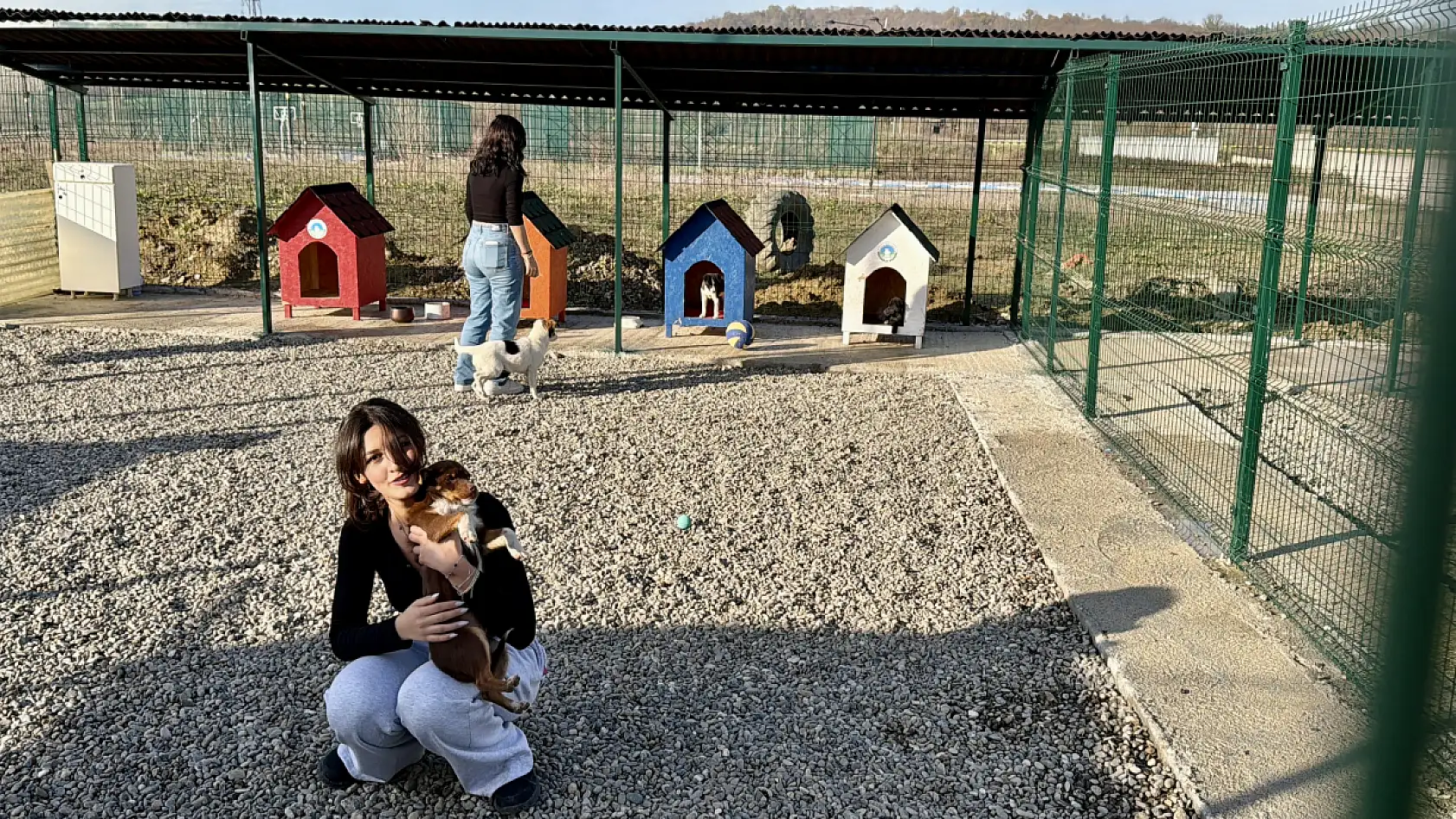 Hayvan Doğal Yaşam Alanı kuruldu