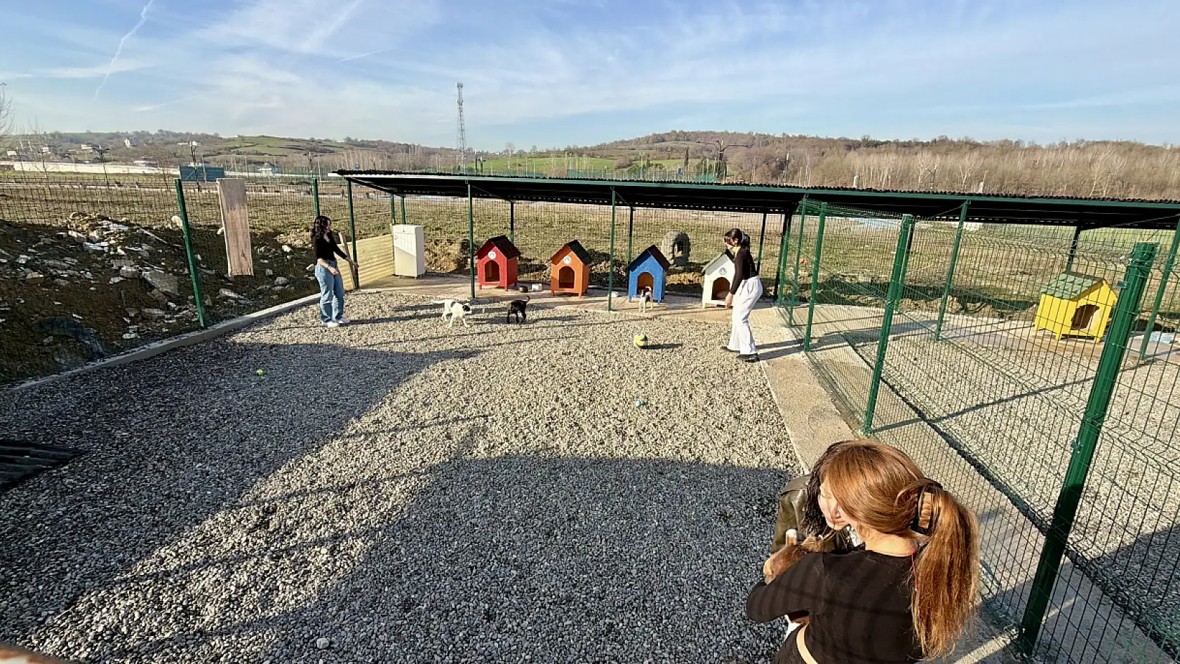 Hayvan Doğal Yaşam Alanı kuruldu