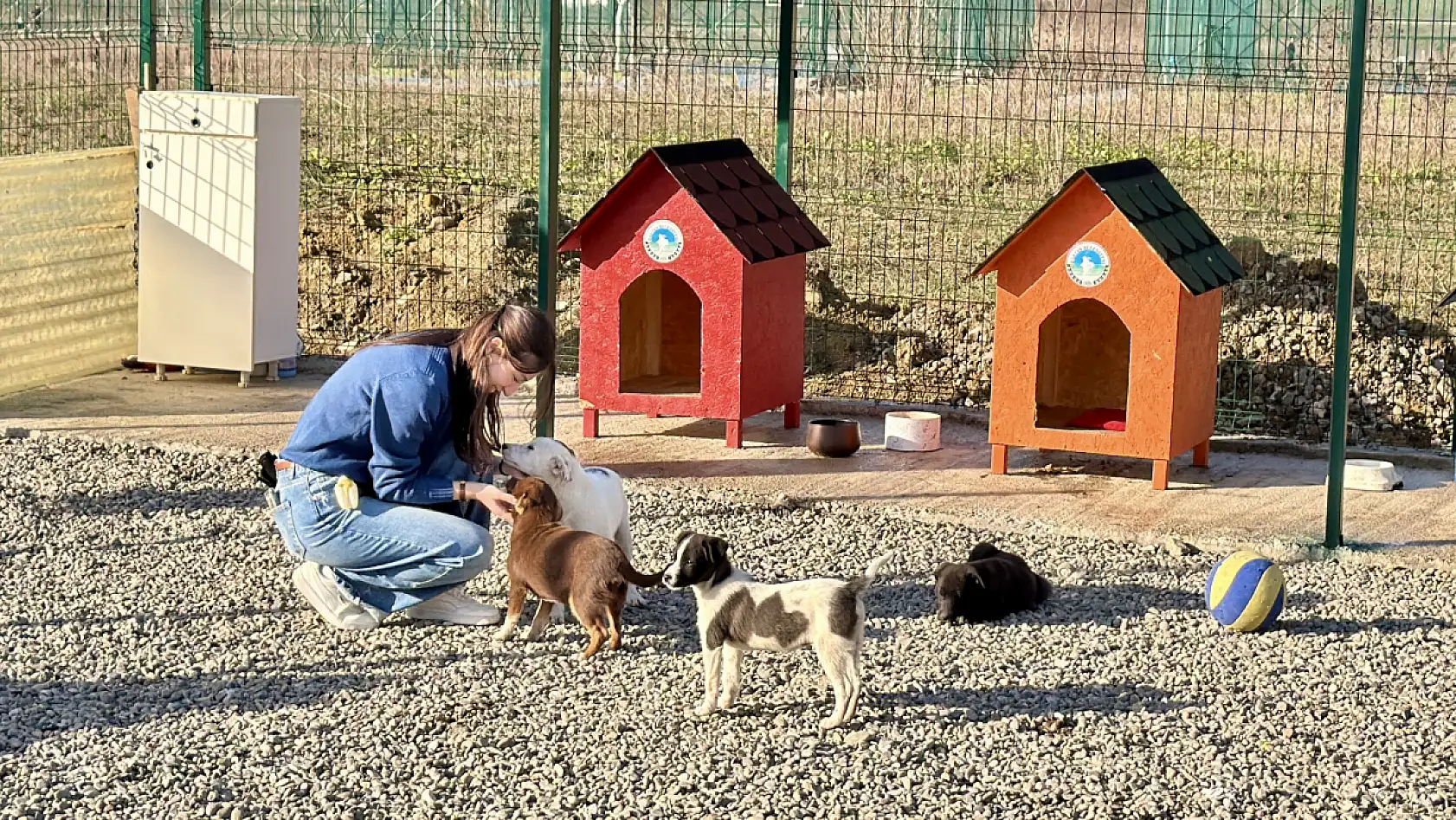 Hayvan Doğal Yaşam Alanı kuruldu