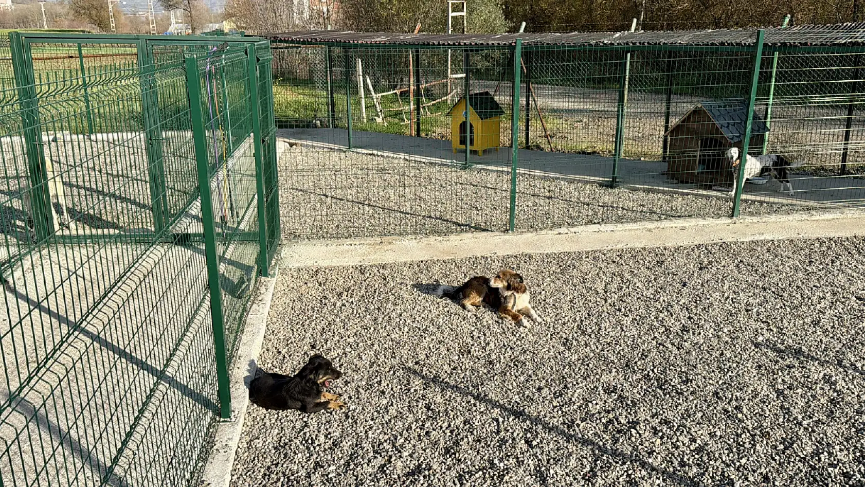 Hayvan Doğal Yaşam Alanı kuruldu