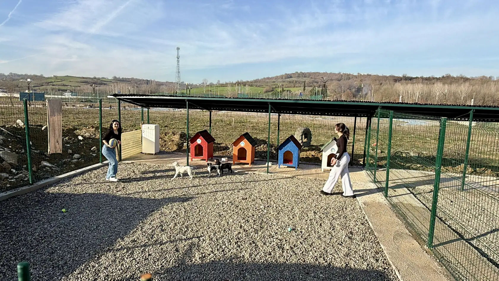 Hayvan Doğal Yaşam Alanı kuruldu