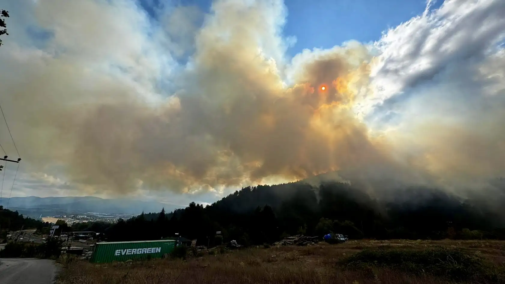 Mengen'de orman yangını