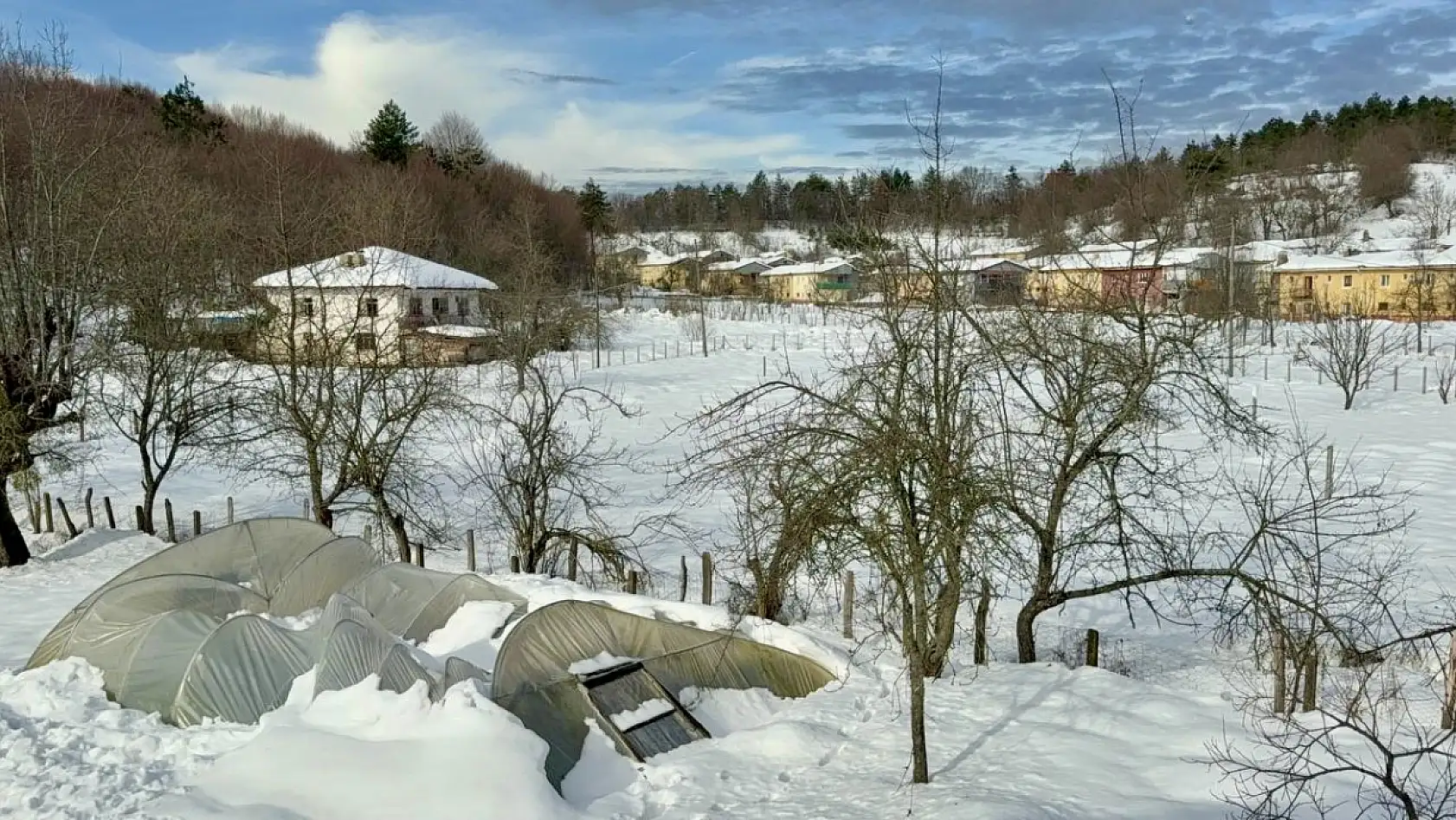Kar birikintisine dayanamayan seralar çöktü