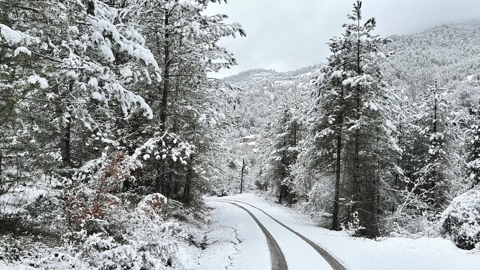 Kapanan köy yolları ulaşıma açılıyor