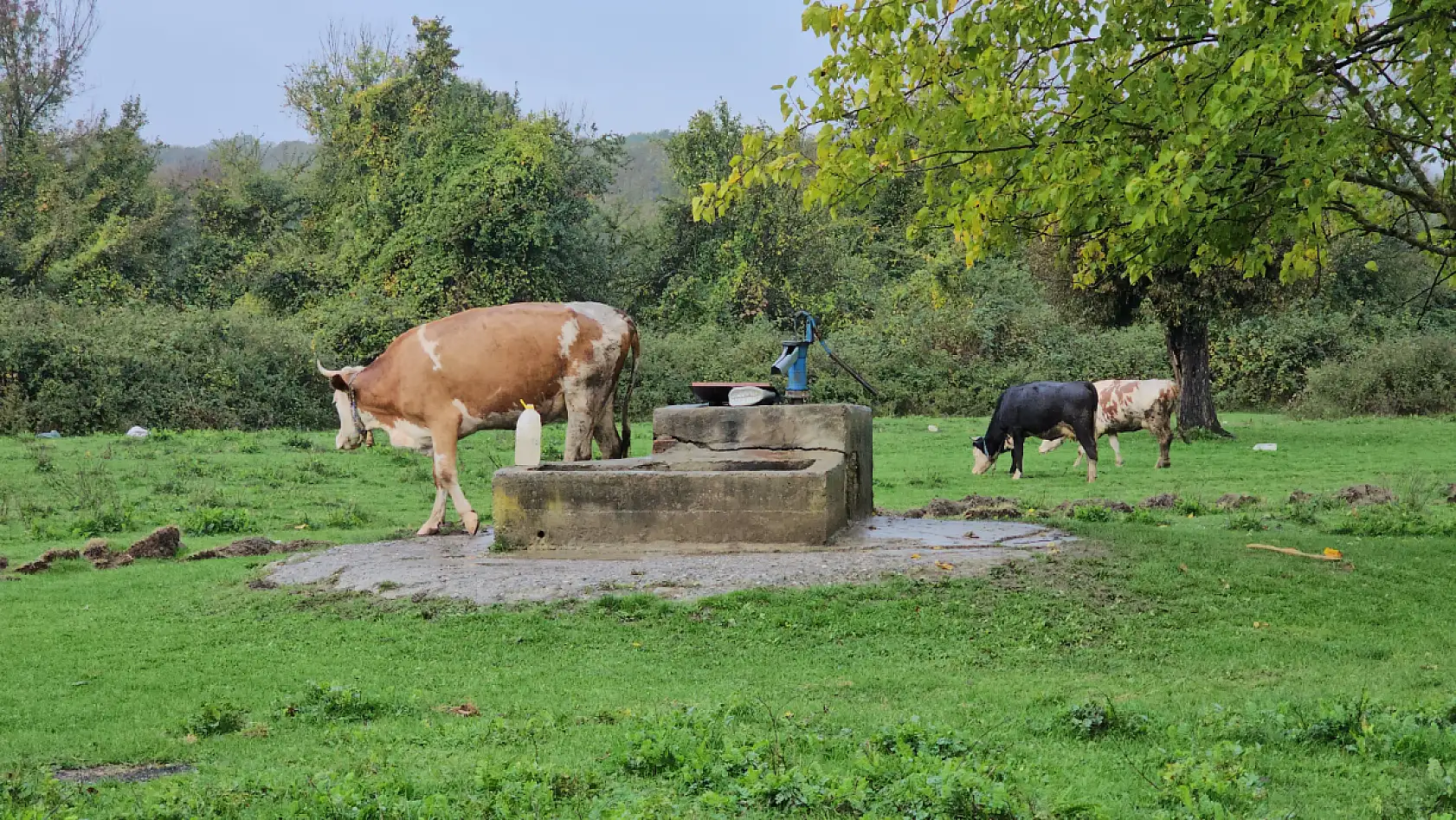 Kuyudaki ceset olayında sıcak gelişme