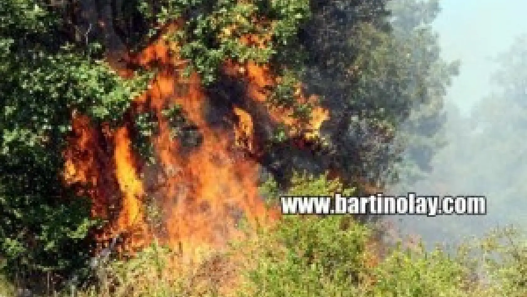 Bartın'da Orman Yangınından en sıcak görüntüler
