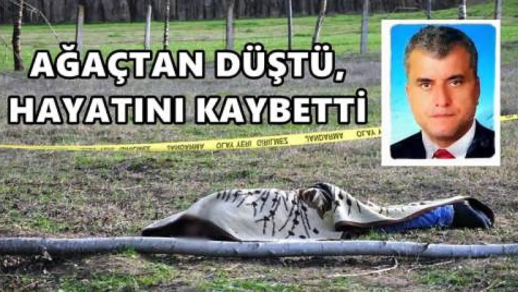 Ağaç budarken düşerek öldü