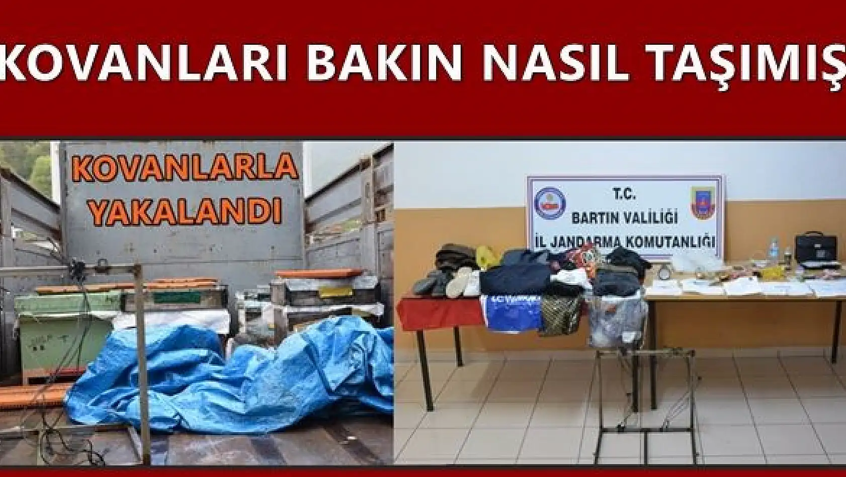 Arı kovanı hırsızı yakalandı