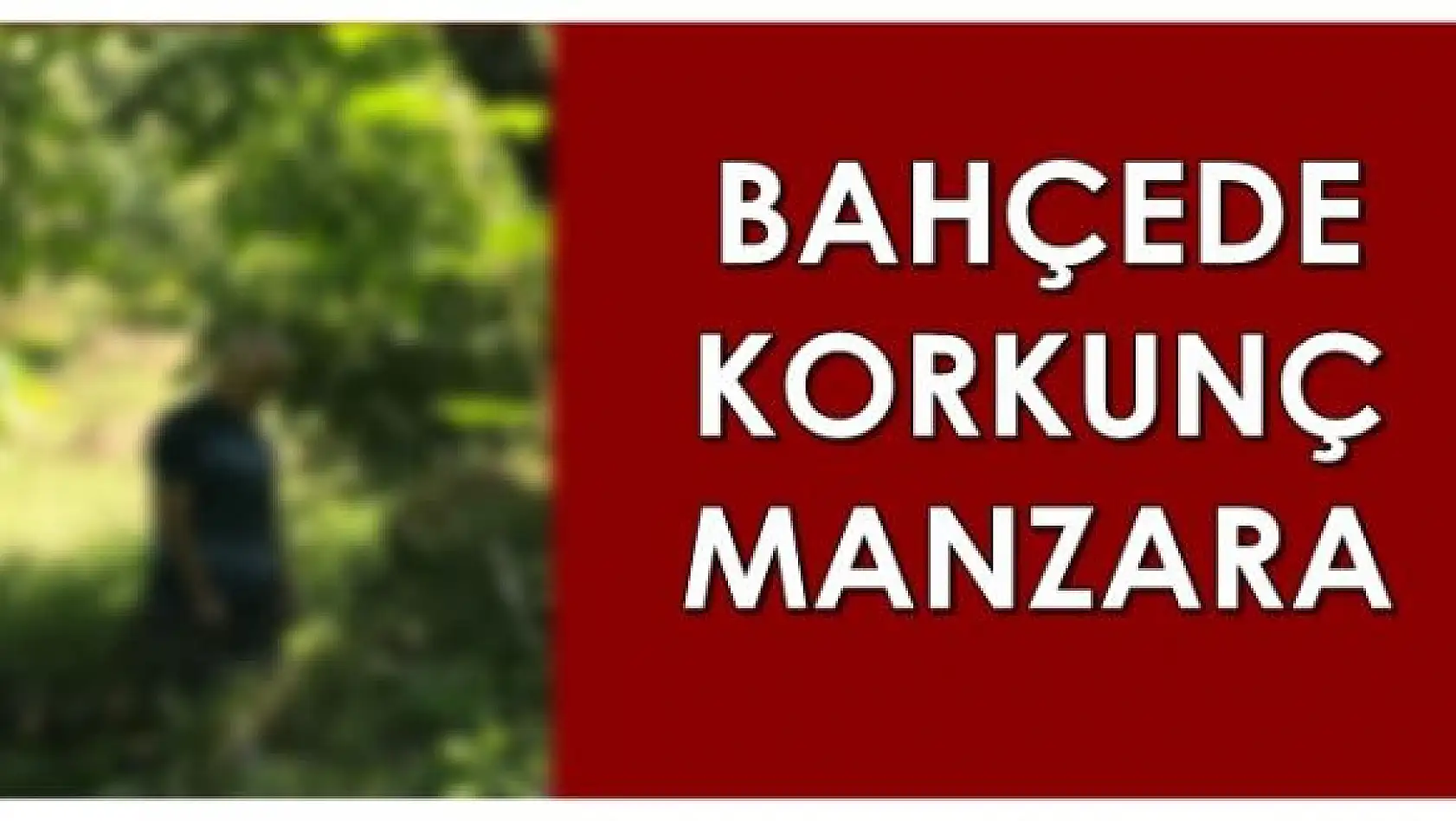 Bahçede korkunç manzara