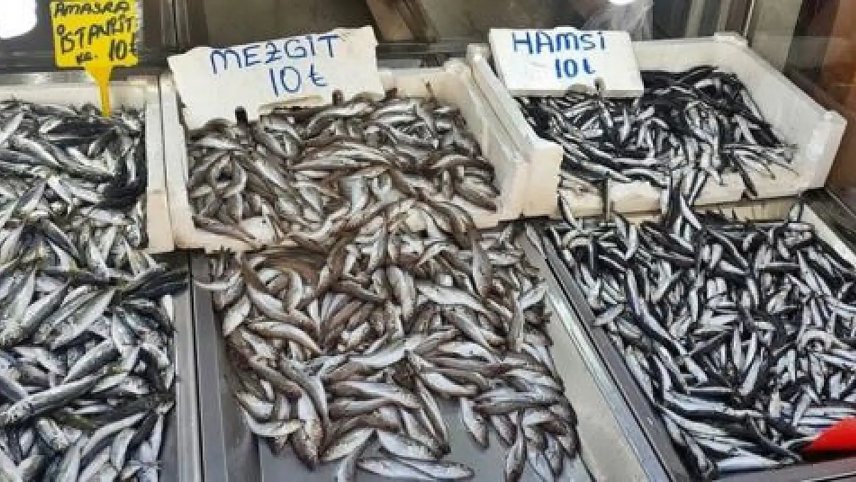 Balık Sezonu başladı, işte fiyatlar