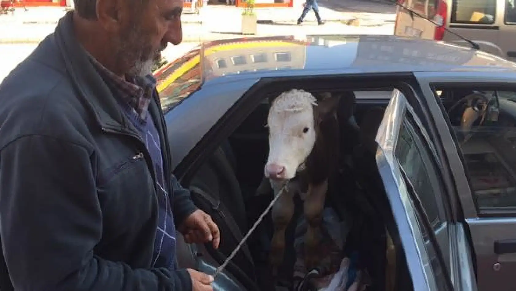 Bartın'da Şaşırtan yolculuk