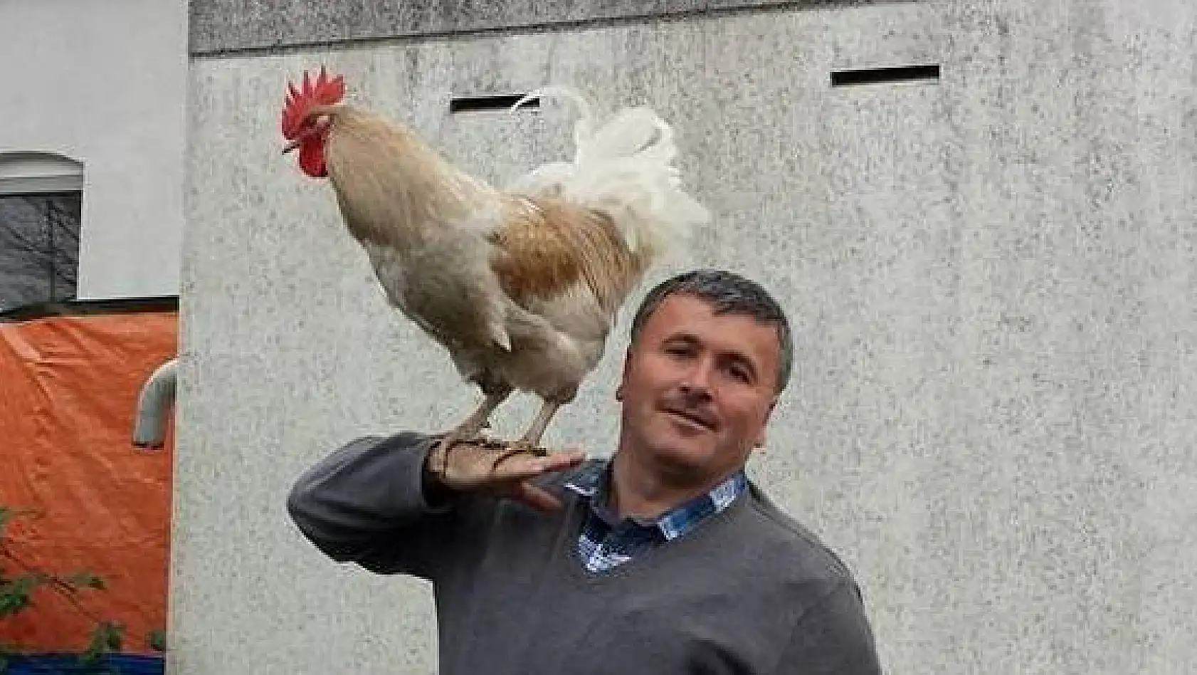 Çok sevdiği horozlarına onun adını koydu
