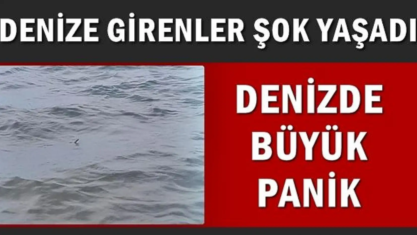 Denize girenler şok yaşadı