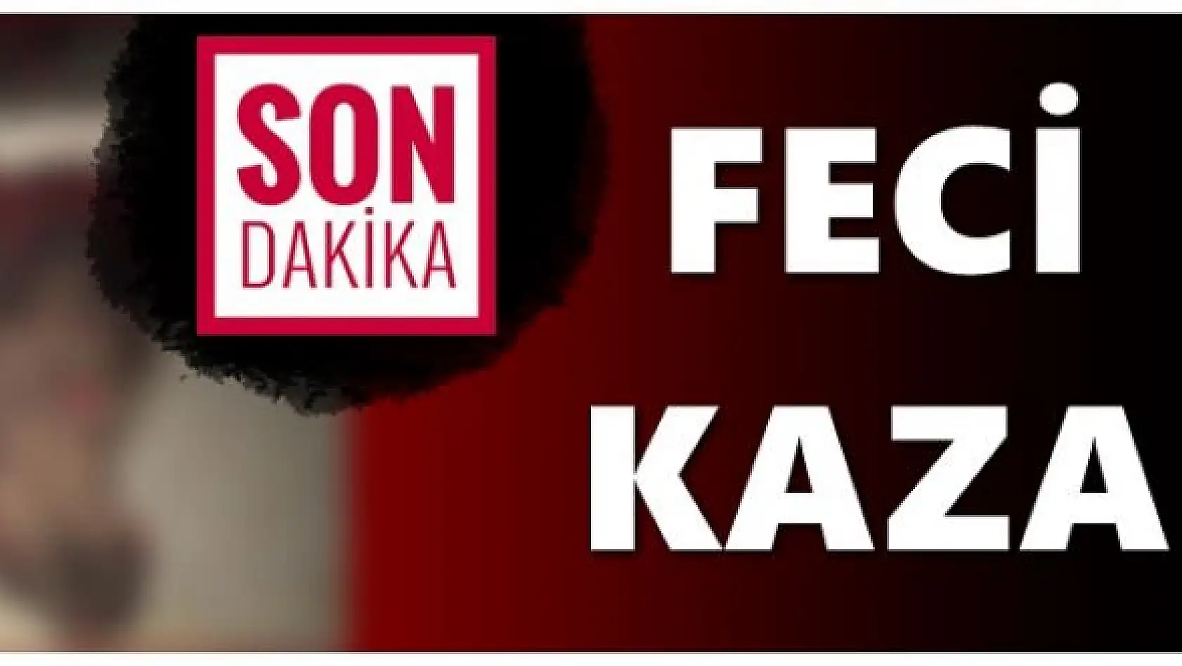 Domuz zincirleme kazaya sebep oldu