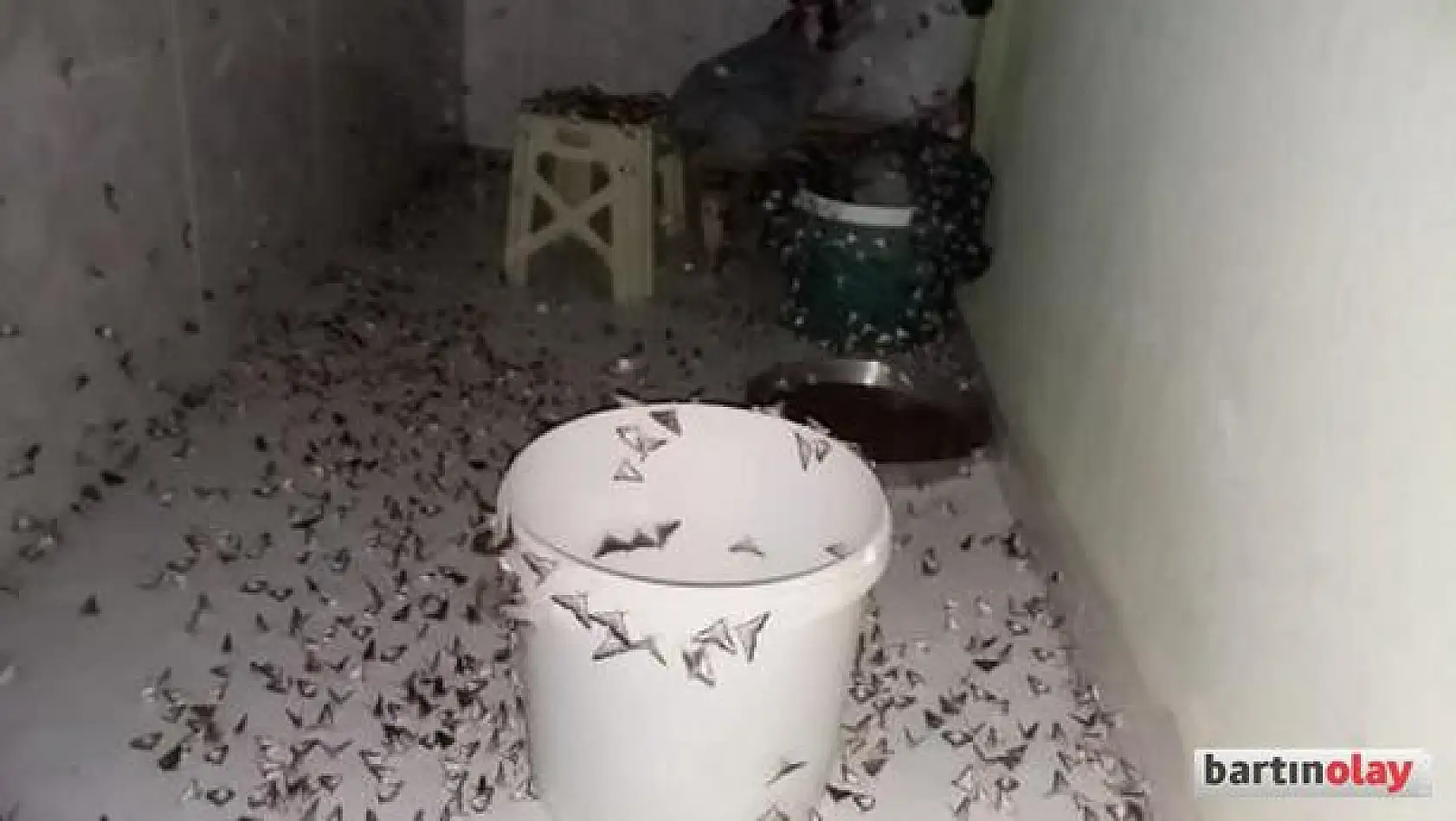 Köyleri istila ettiler