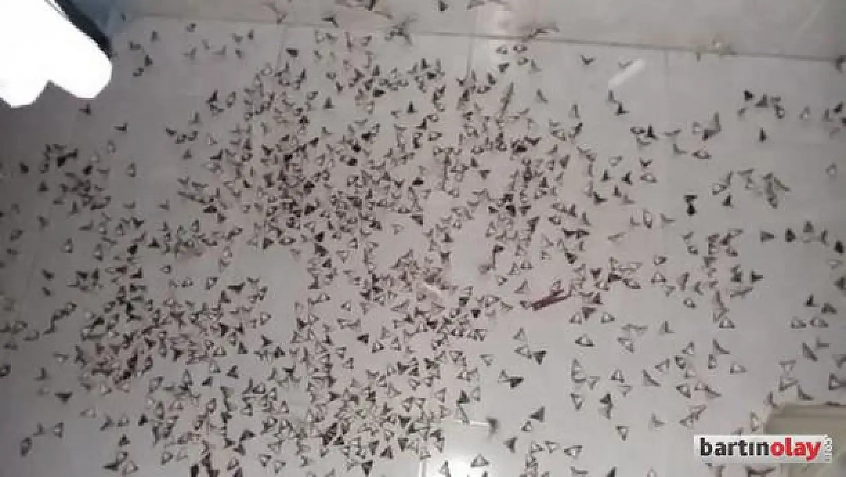 Köyleri istila ettiler