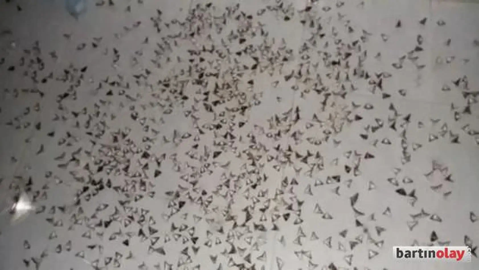 Köyleri istila ettiler