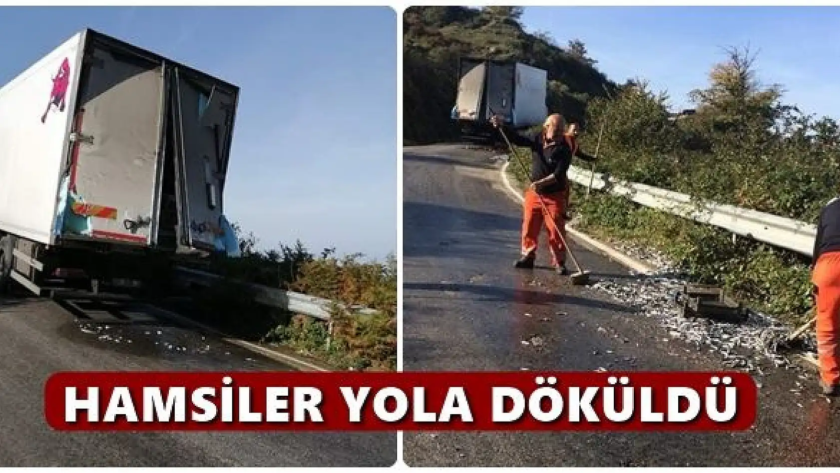 Hamsiler yola saçıldı