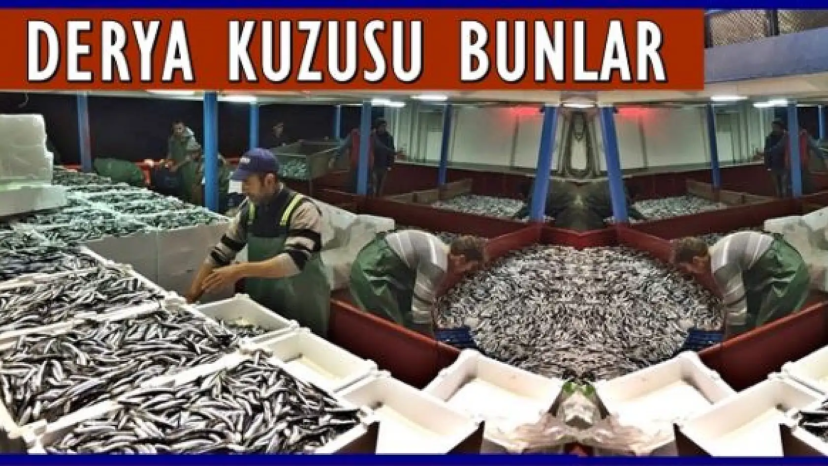 İlk tekne 800 kasa hamsi ile limana geldi