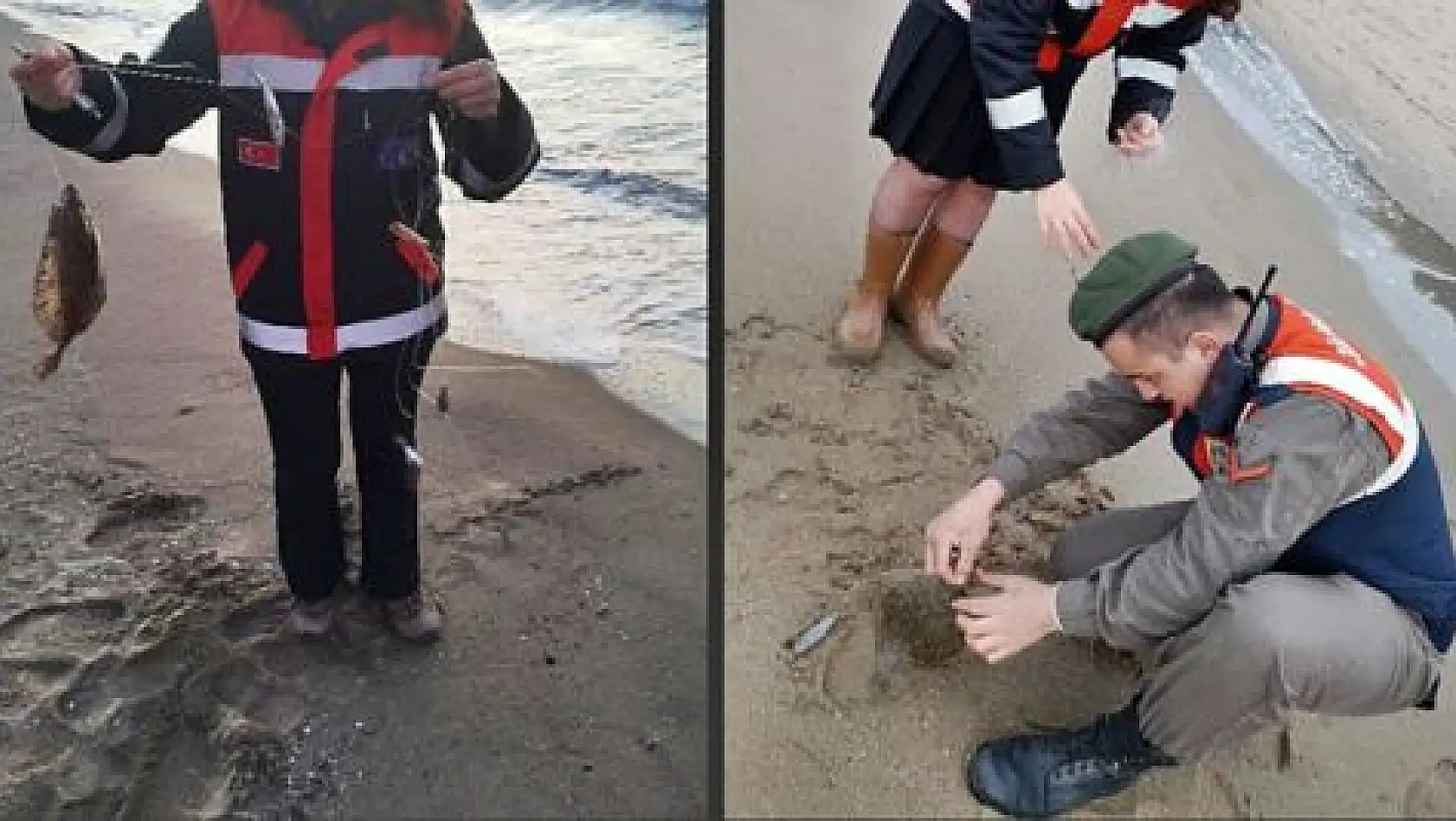 Kaçak Kalkan Balığı Avcılarına baskın