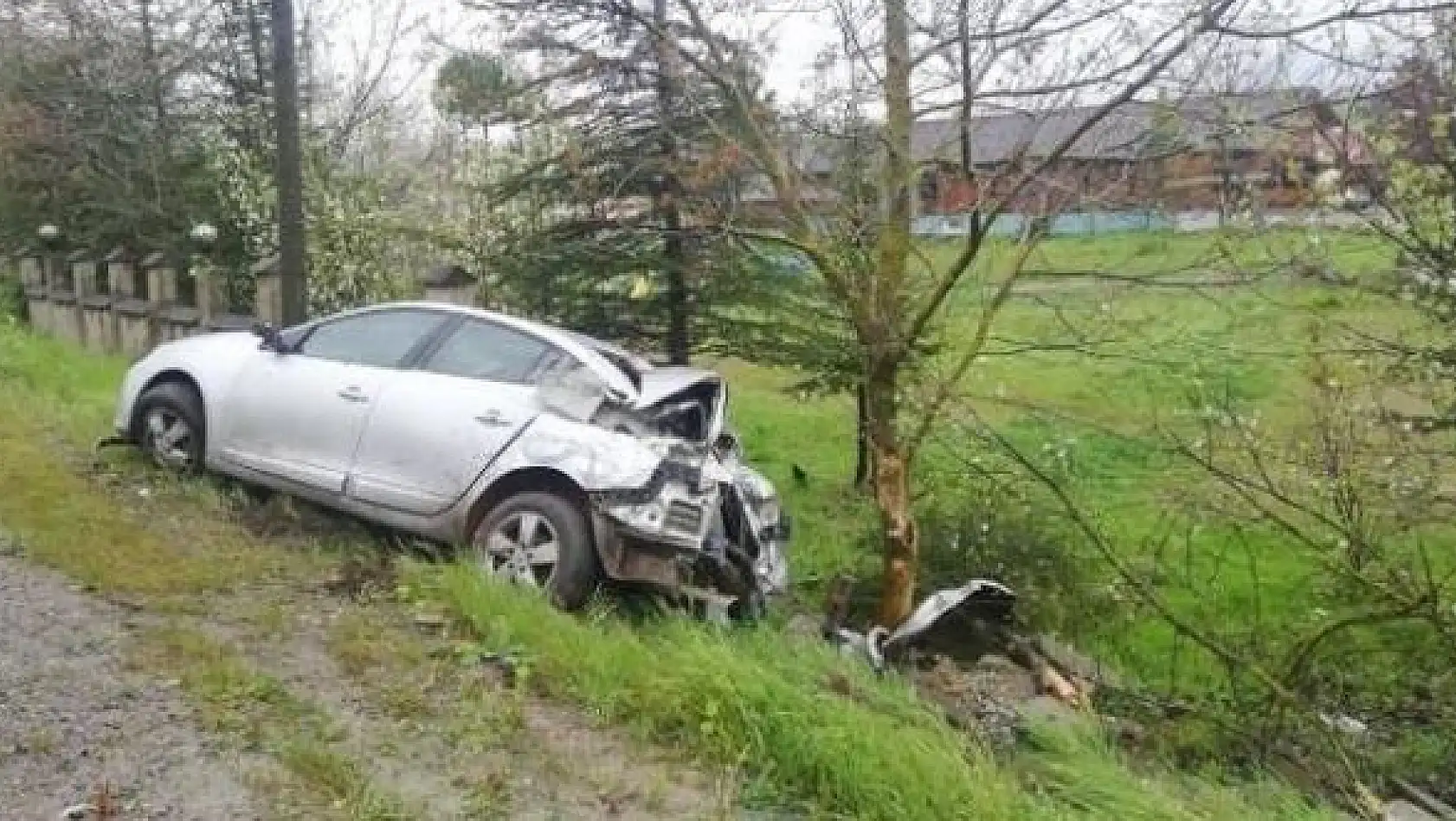 Kayan otomobil ağaca çarptı