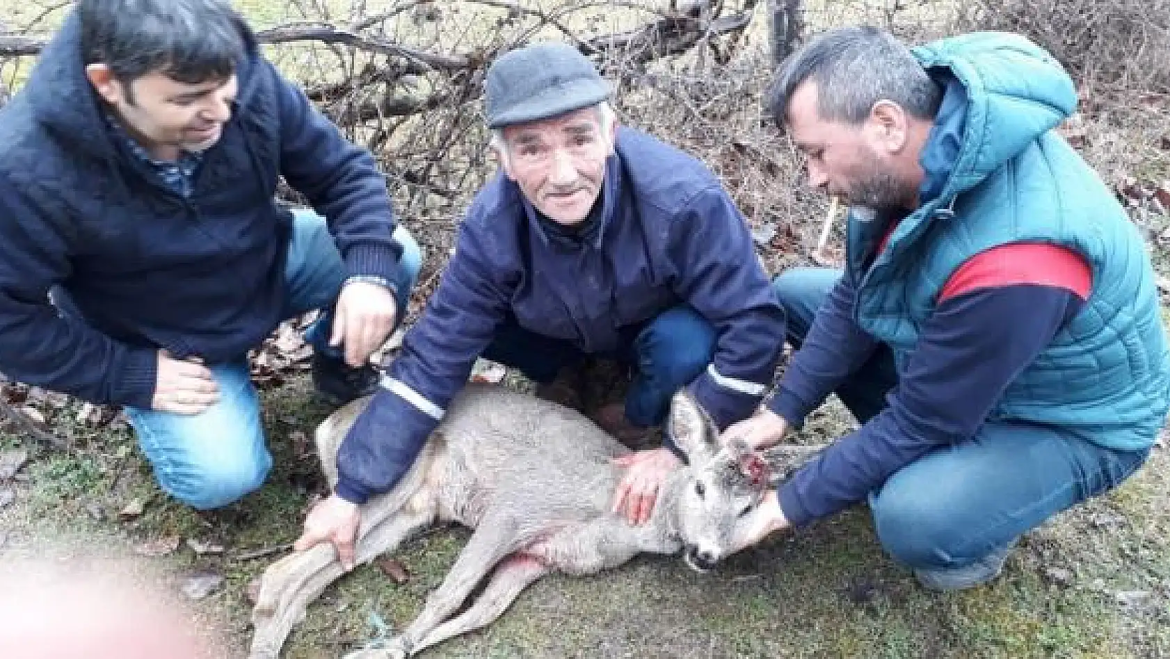 Köpeklerin saldırısına uğradı