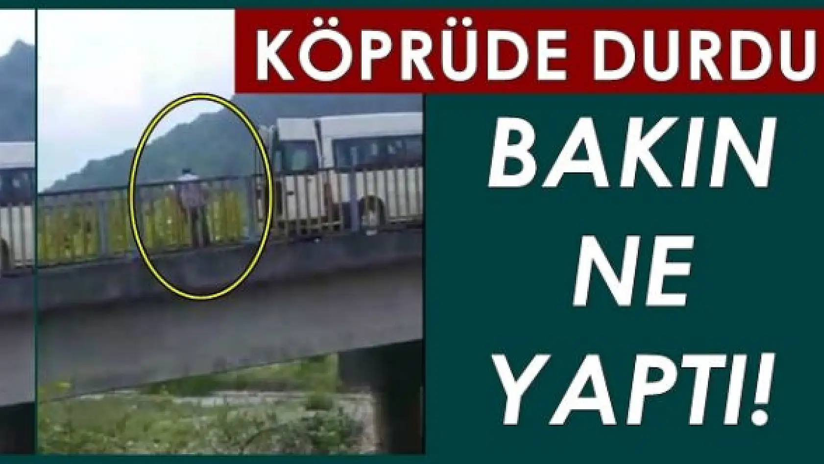 Köprüde aracı durdurdu, bakın ne yaptı!