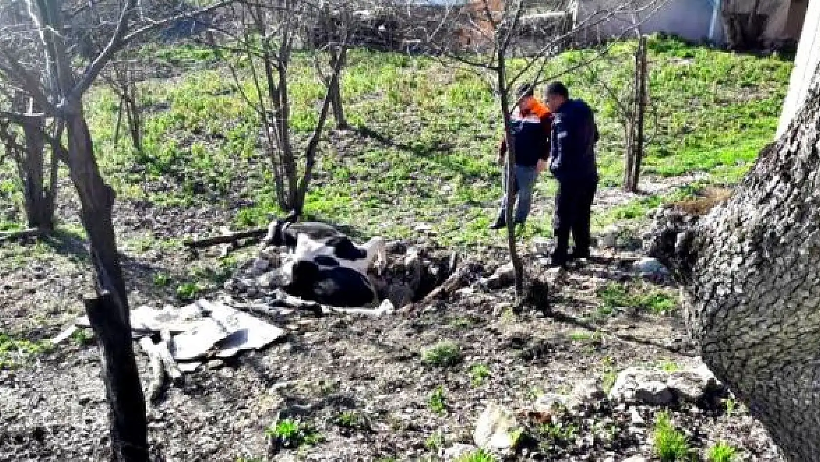 Kuyuya düşen inek telef oldu