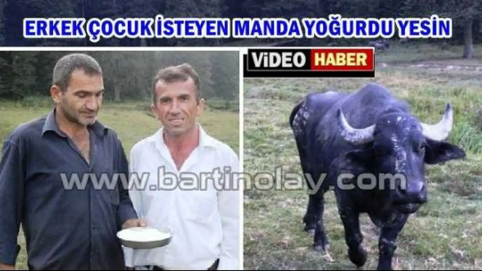 Manda yoğurdunun faydaları saymaka bitmiyor