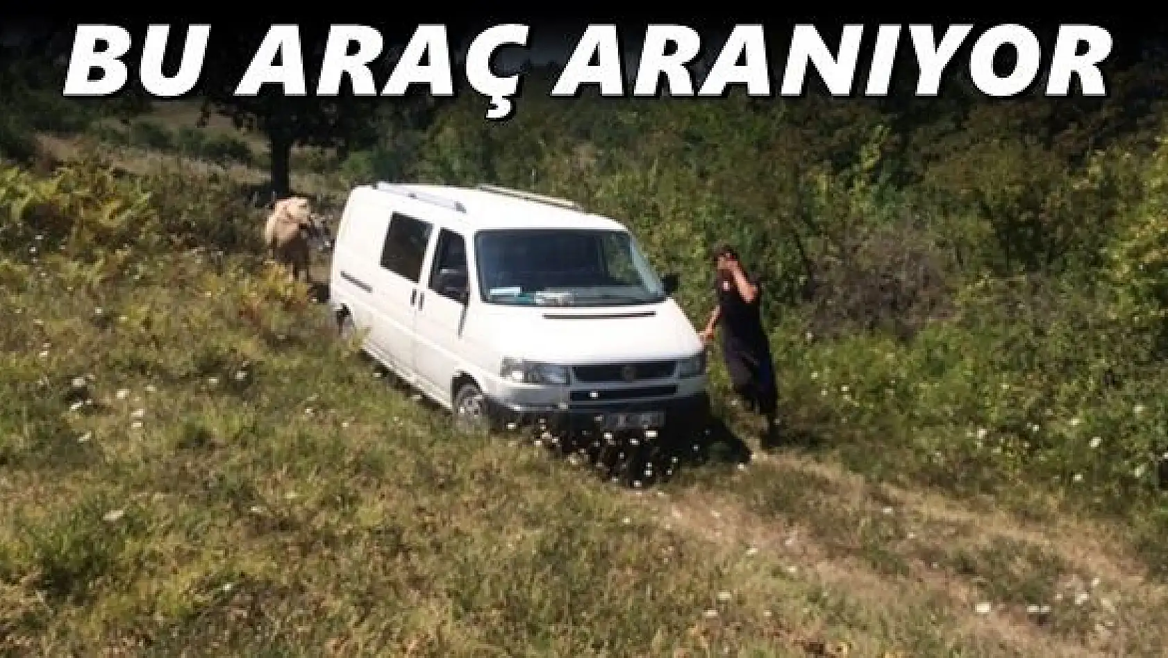 Minibüsle hayvan hırsızlığı yapanlar aranıyor