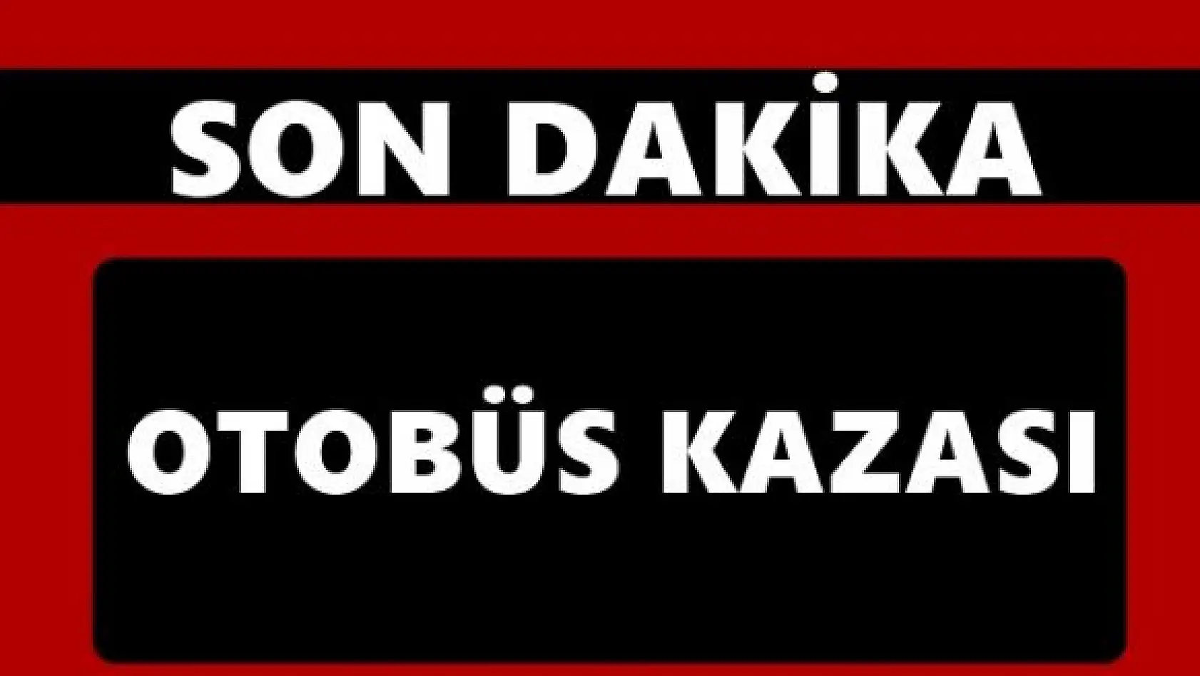 Otobüs şarampole devrildi