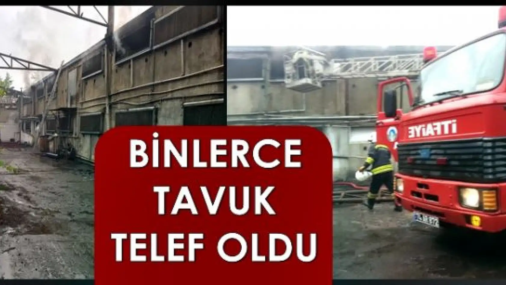 Tavuk çiftliğinde yangın