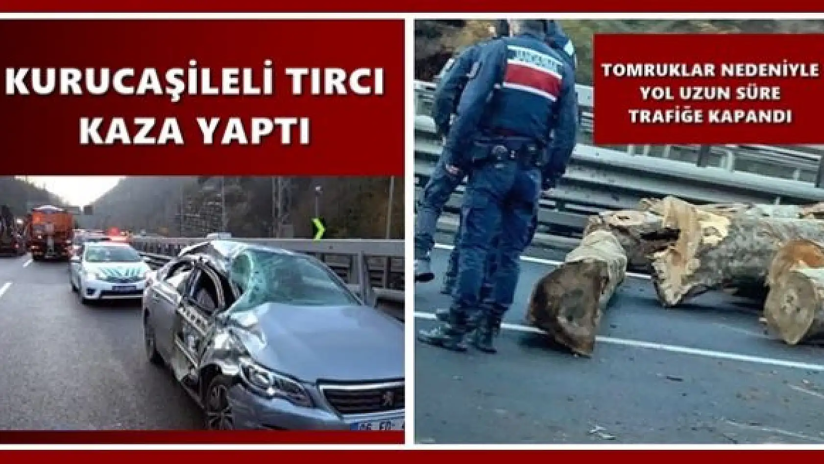 Tomruk yüklü tır kaza yaptı