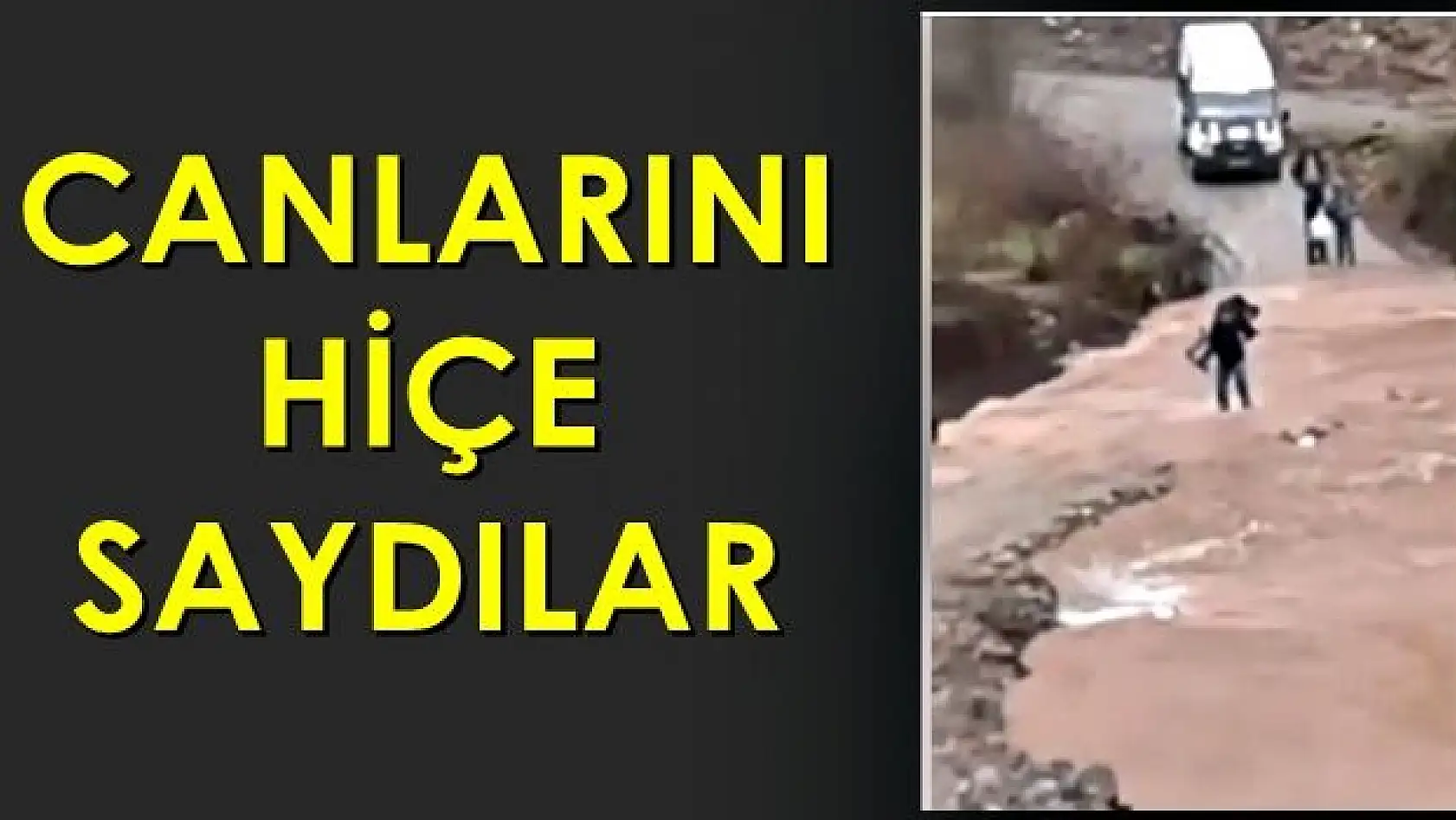 Canlarını hiçe saydılar