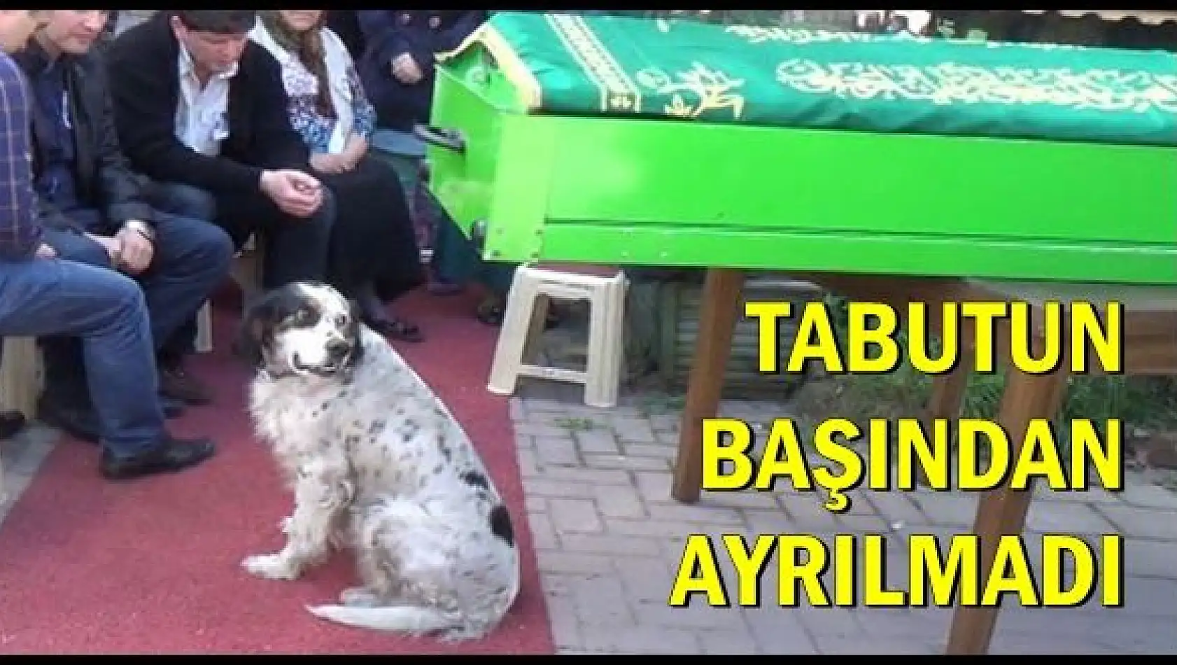 Vefalı Köpeği Burak'ı Son Yolculuğuna Uğurladı