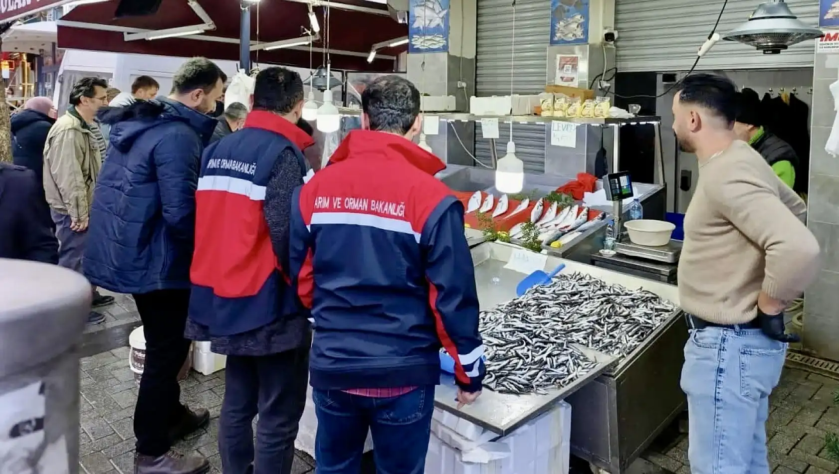 Balıklar boylarına varıncaya kadar ölçüldü