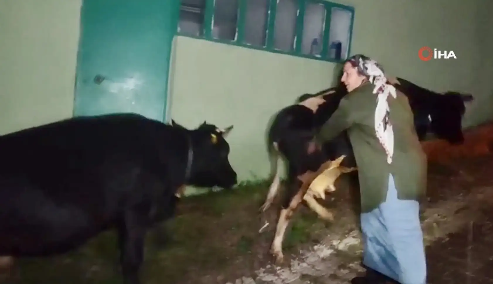 Su yükselince mahsur kaldılar