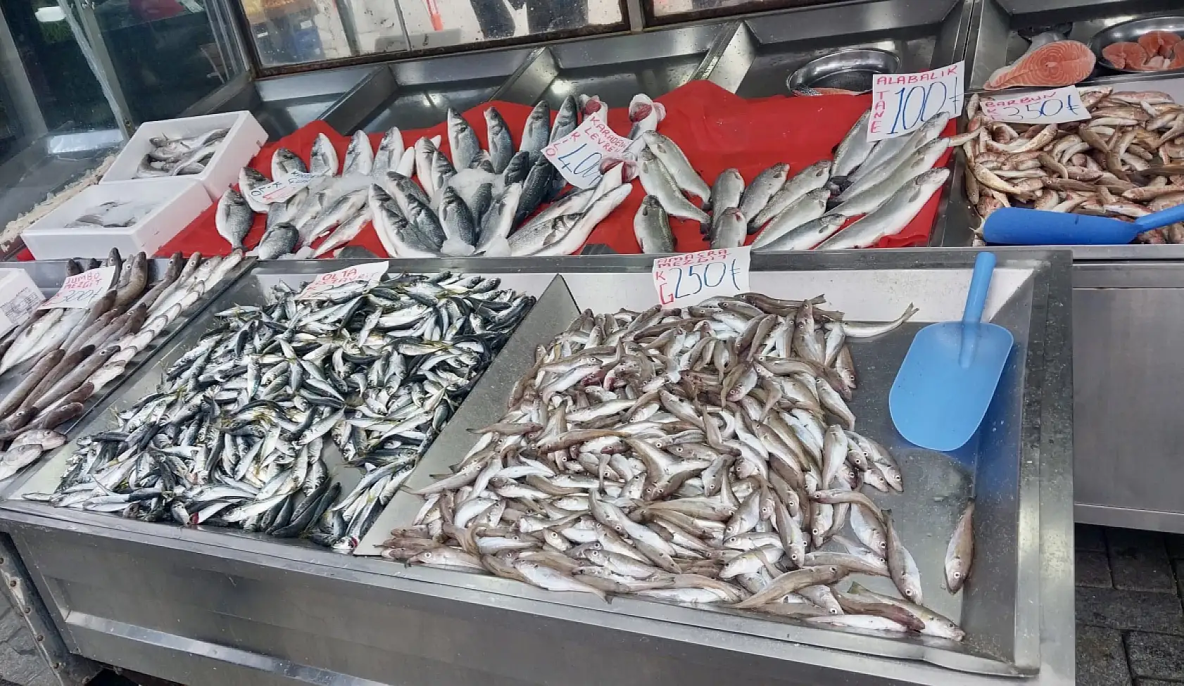 Pazarda bugün ne var ne yok