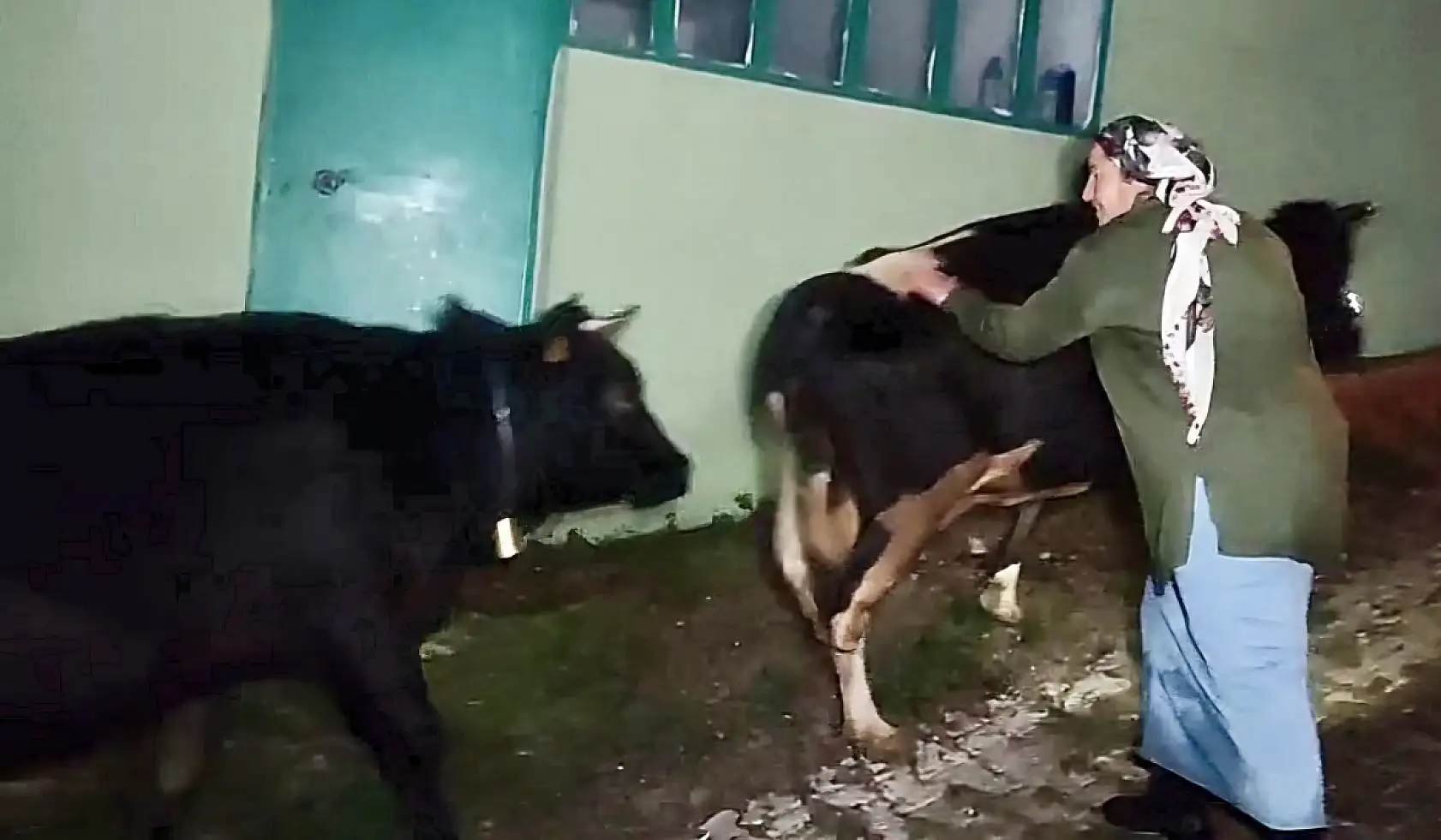 Su yükselince mahsur kaldılar