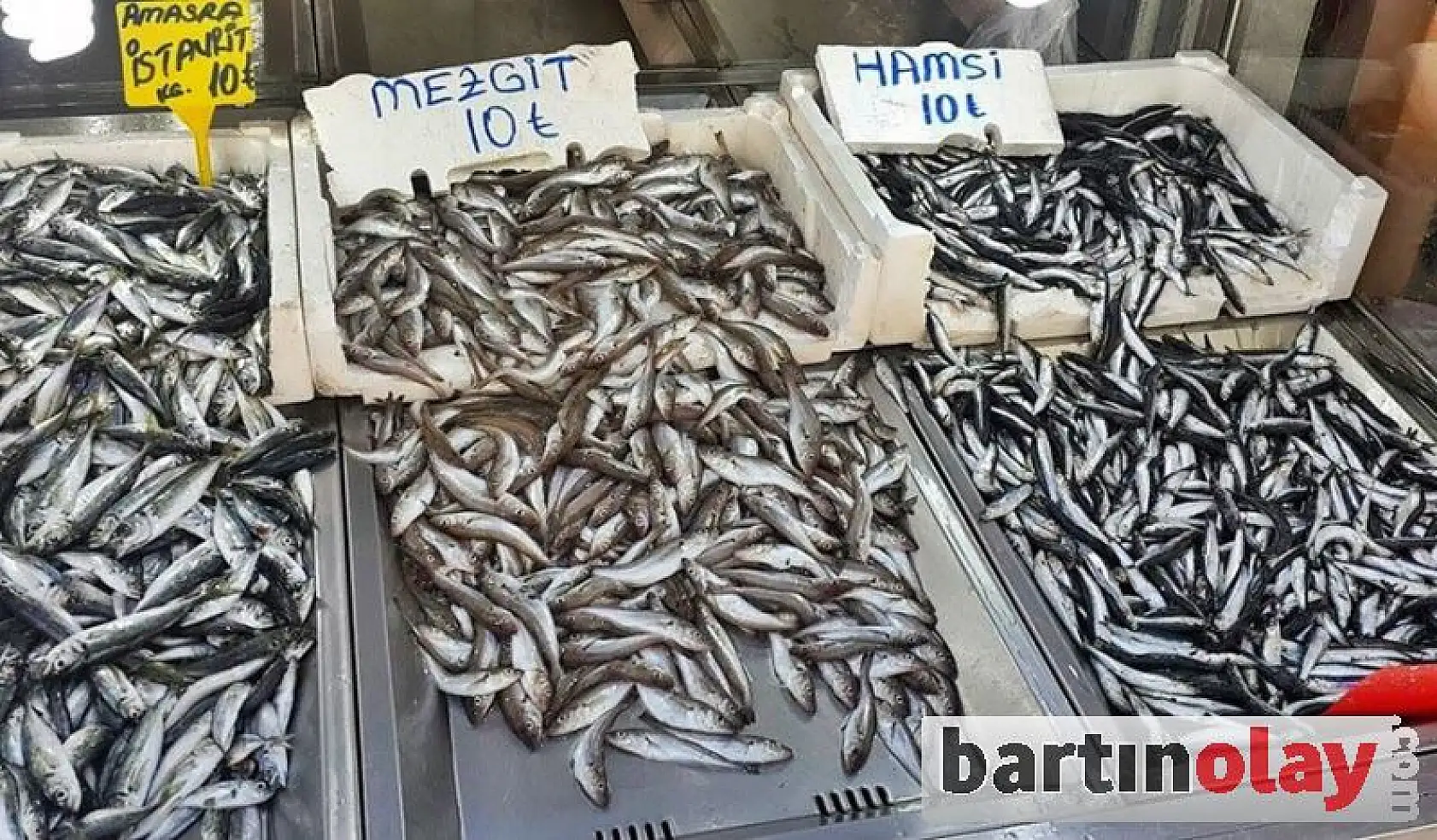 Balık Sezonu başladı, işte fiyatlar