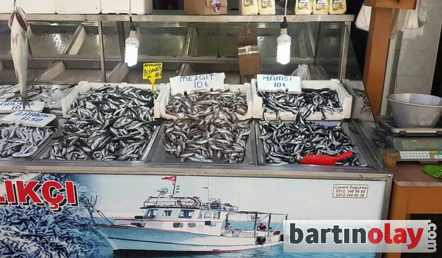 Balık Sezonu başladı, işte fiyatlar