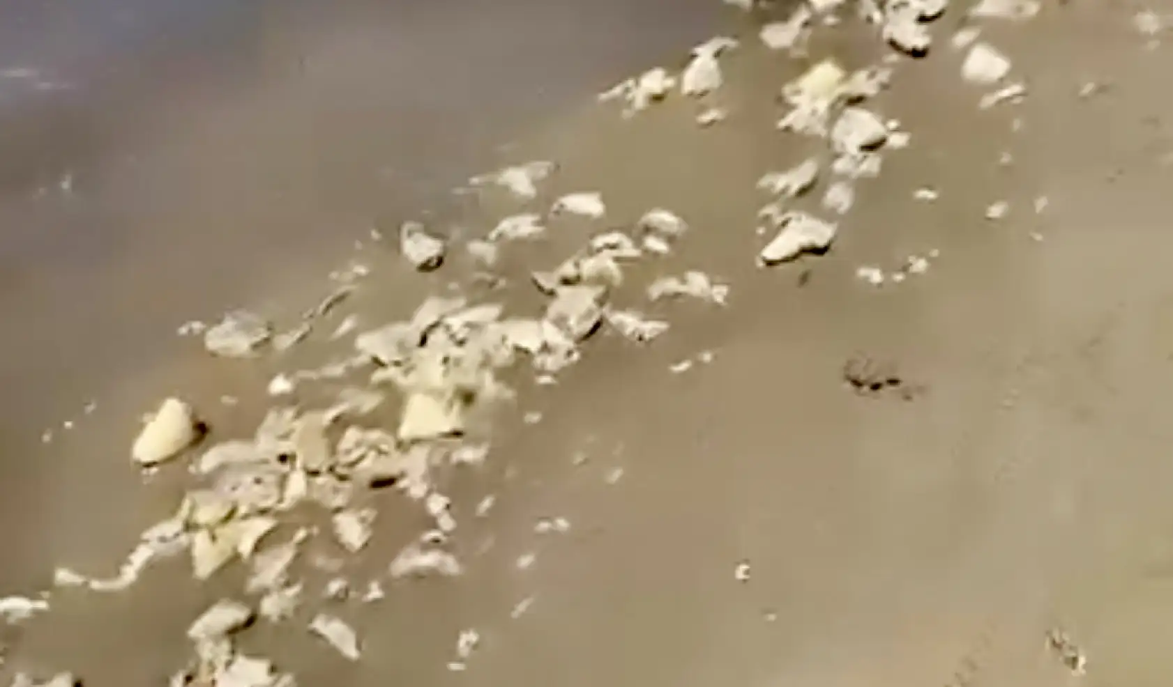 İnkumu sahilinde tepki çeken görüntü