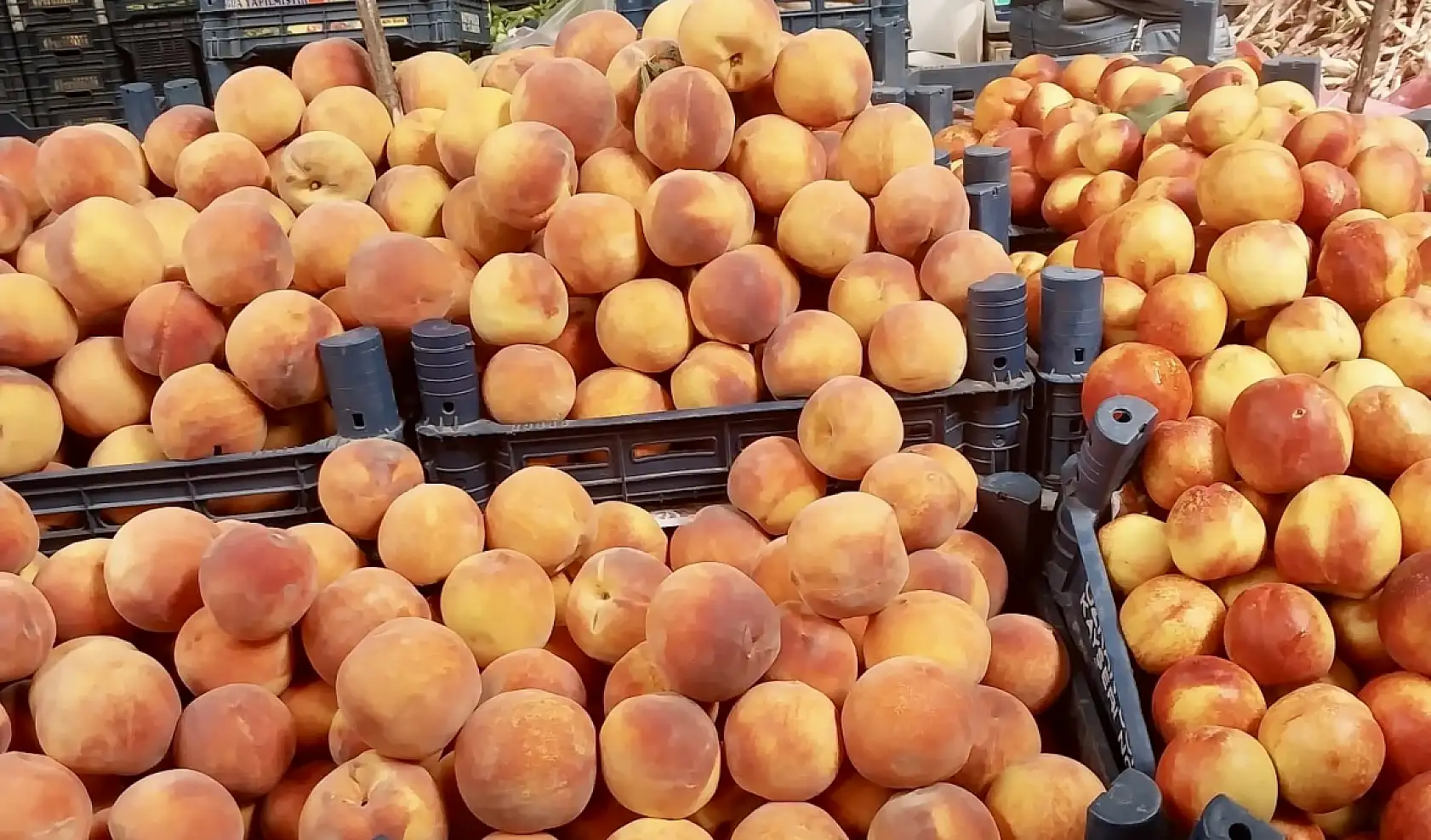 Enflasyon düşüyor, fiyatlar çıkıyor