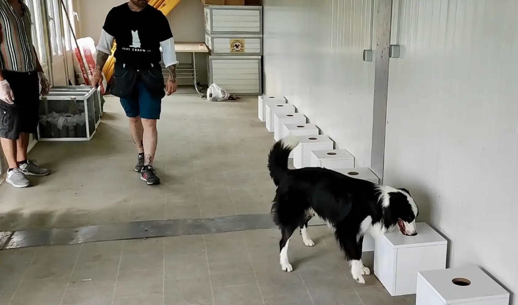 Zararlı böcekleri 10 saniyede tespit ettiler