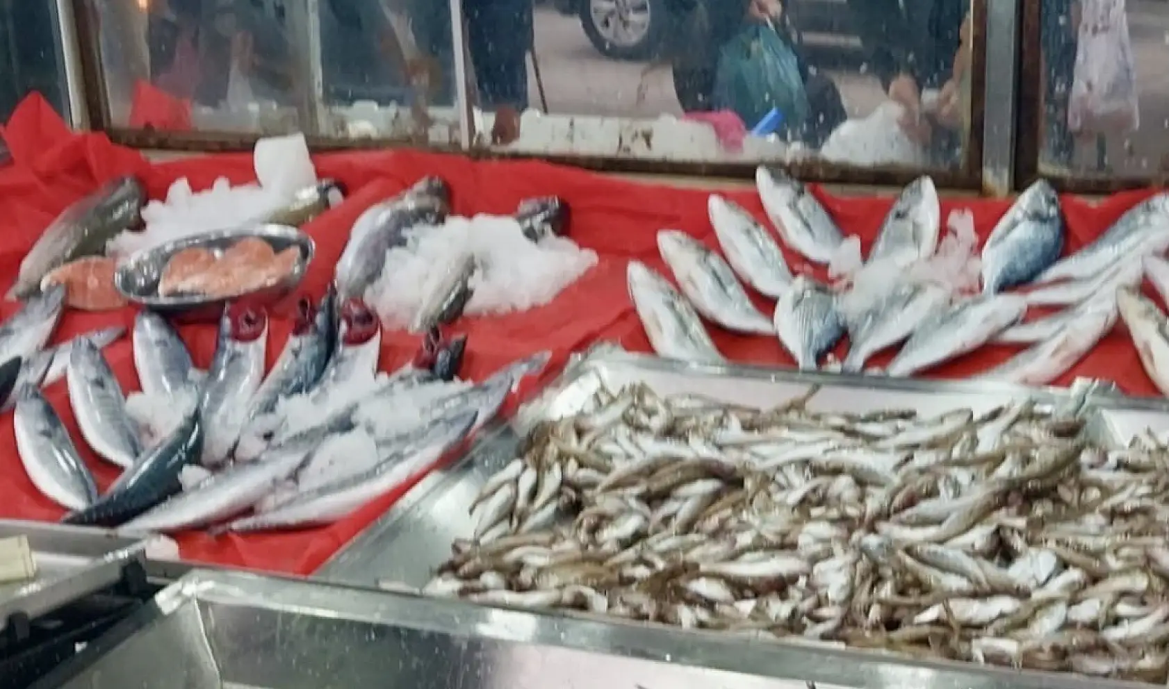 Palamut fiyatıyla fark attı