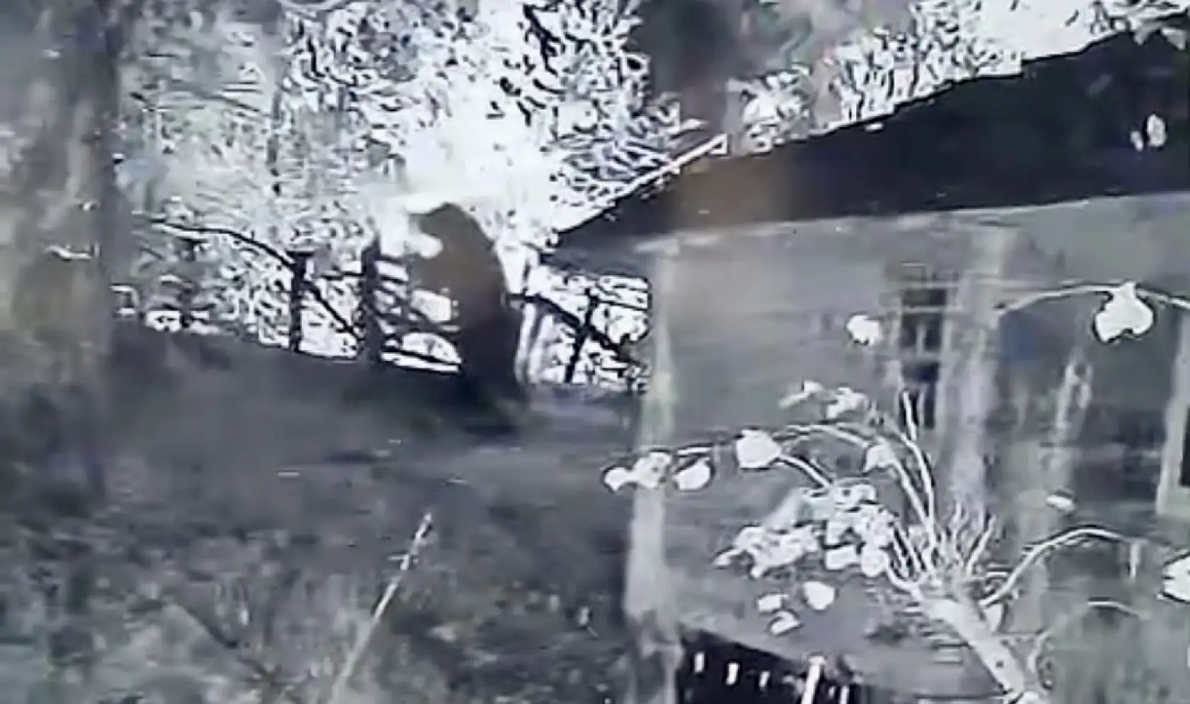 Gece kameraya yakalandı