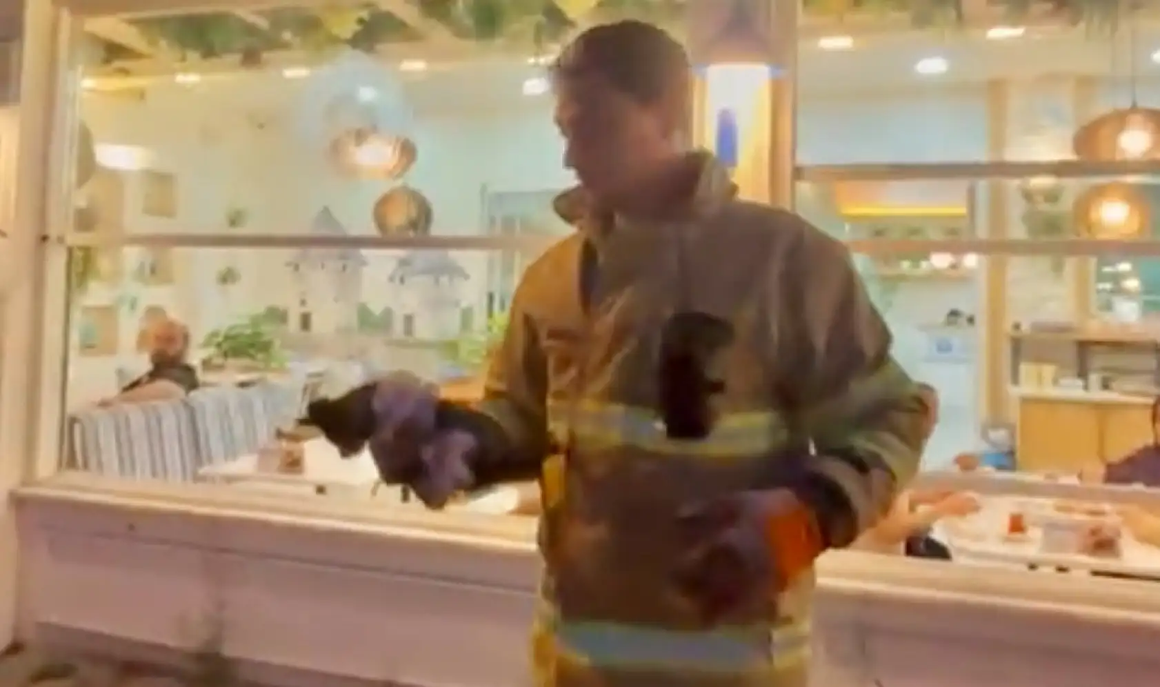 Bak şu yaramazın yaptığına