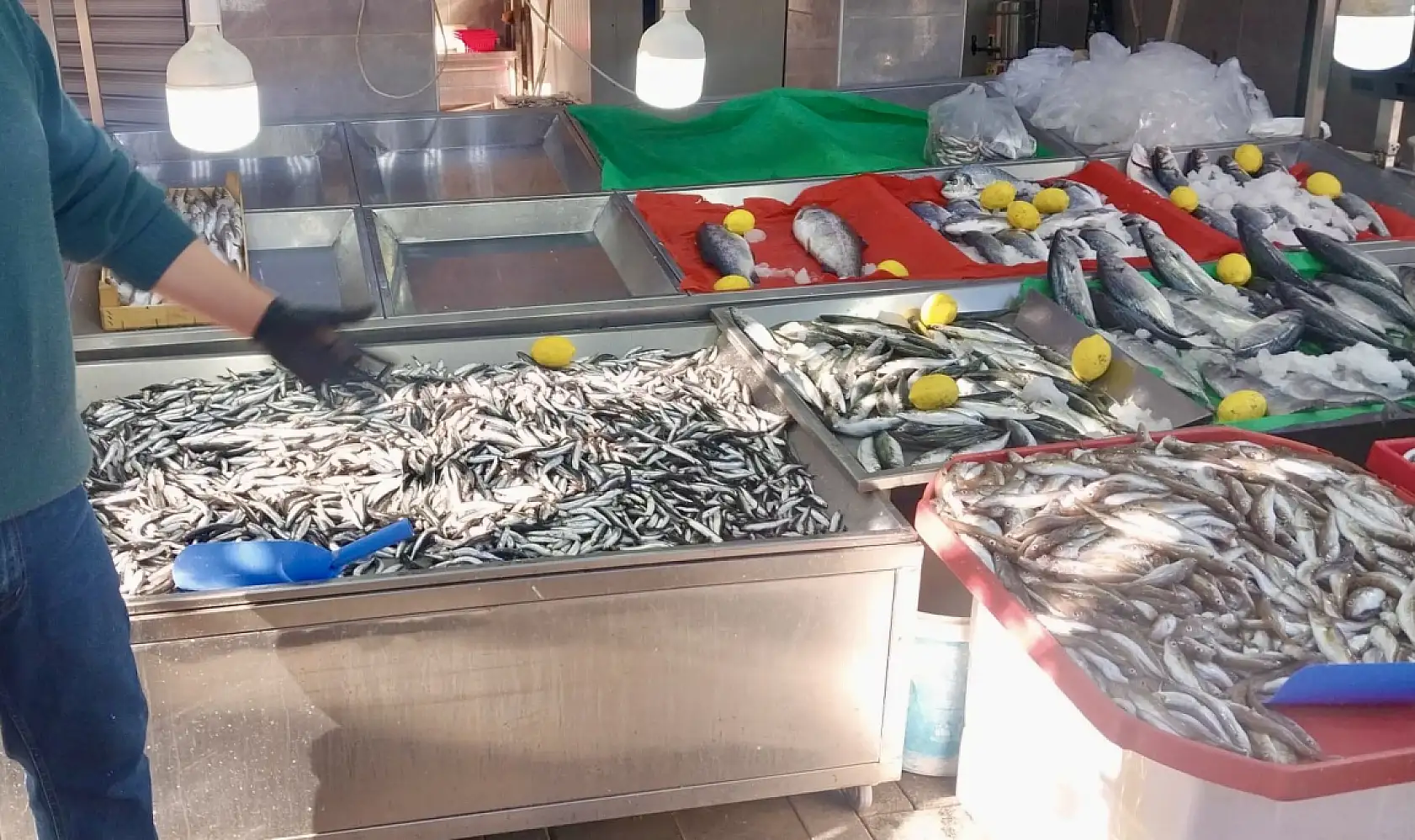 Gel vatandaş gel kampanyaya gel