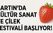 Bartın'da Çilek Festivali Başlıyor!